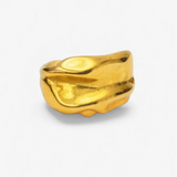 Anillo tierra