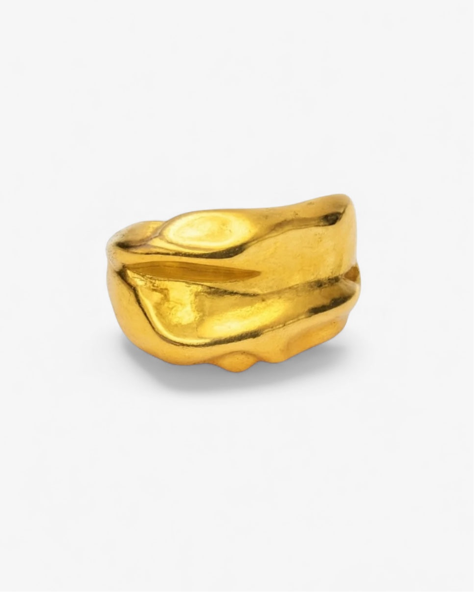 Anillo tierra