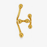 Anillo lianas