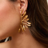Pendientes Silvestre