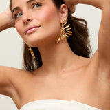 Pendientes Silvestre